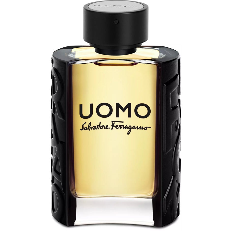 Ferragamo Uomo Uomo Eau de Toilette 100 ml