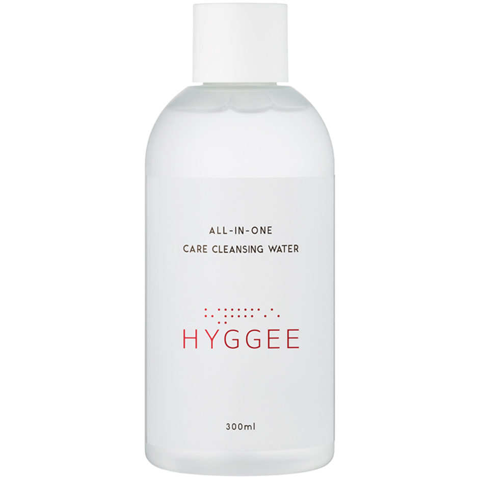 All-In-One Care Cleansing Water (300 ml)