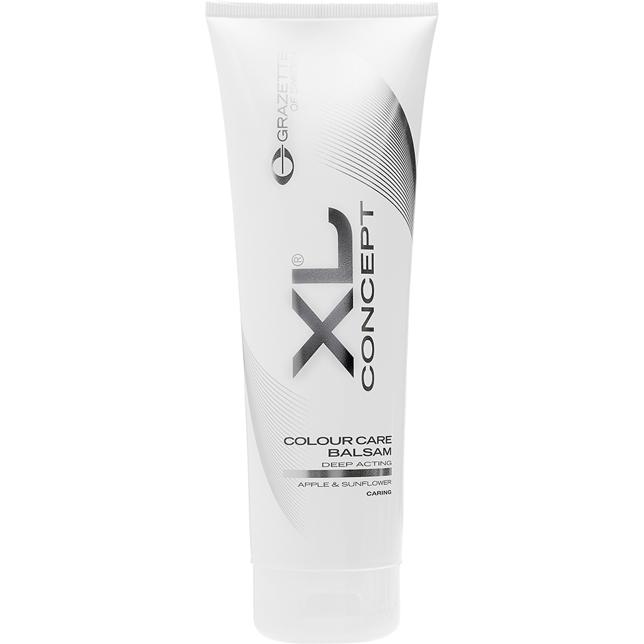 XL Concept
