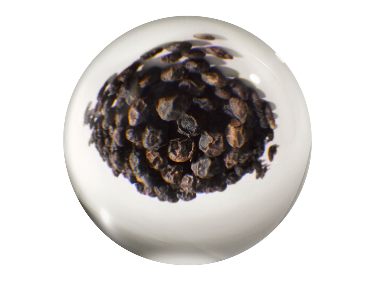 Black Pepper