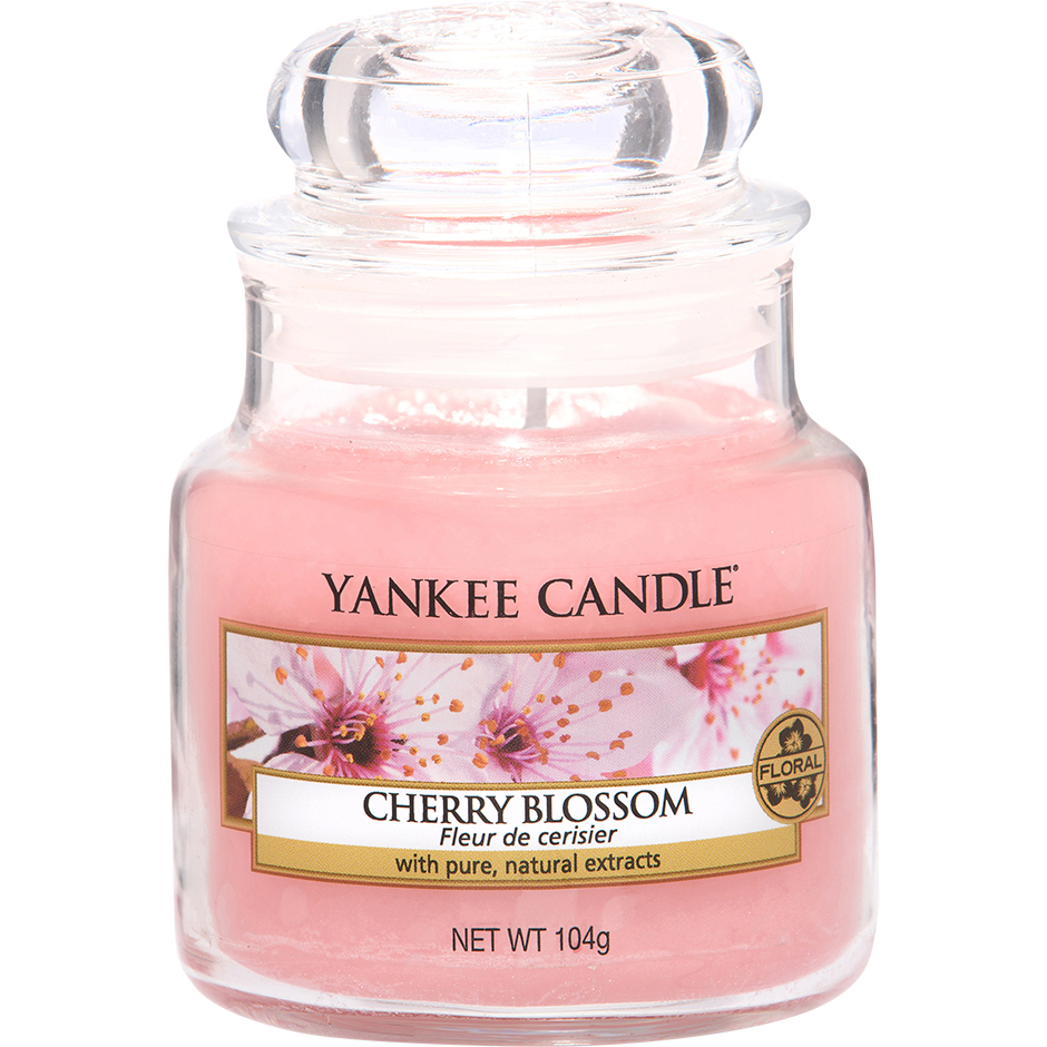 Cherry Blossom