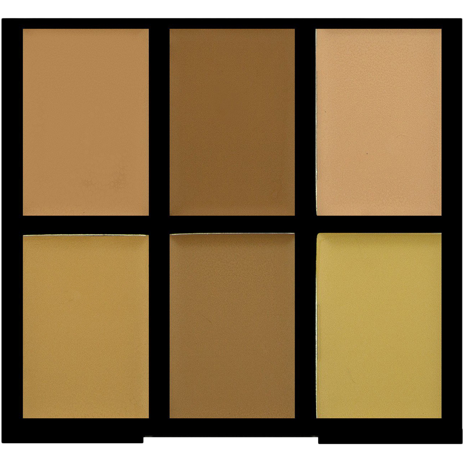 Pro Conceal & Correct