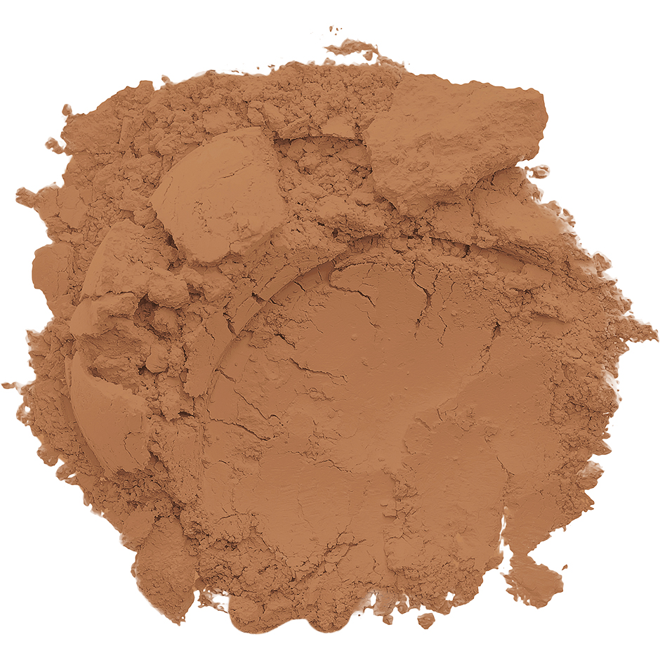 Conceal + Perfect Shine-Proof Powder
