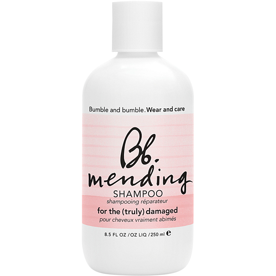 Mending Shampoo