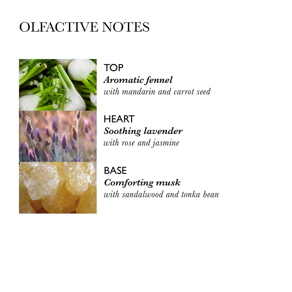 Repairing Conditioner with Fennel