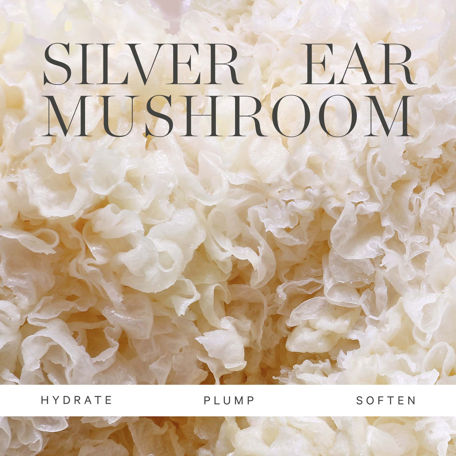 Milky Mushroom Ultra Hydrating Mask