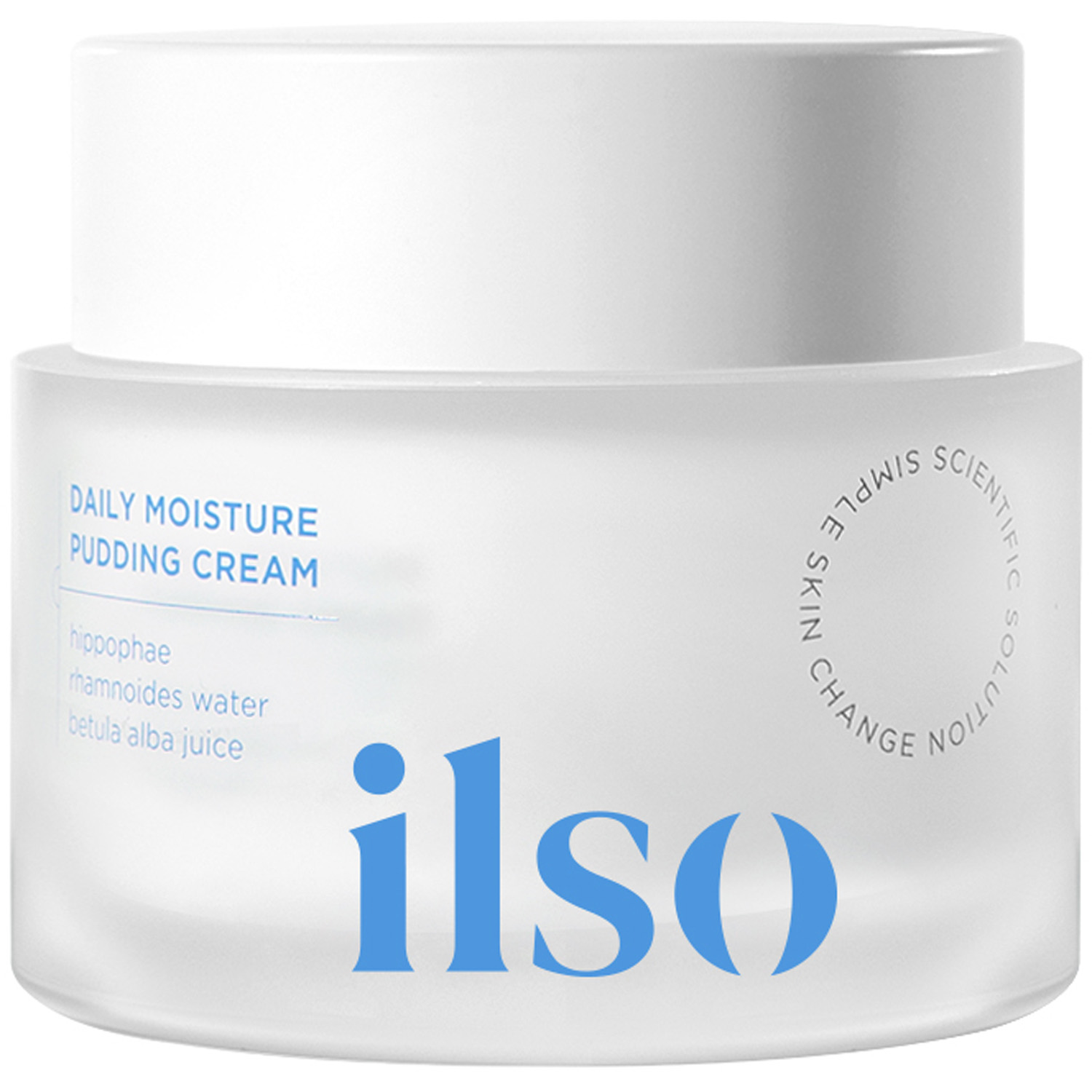 Daily Moisture Pudding Cream