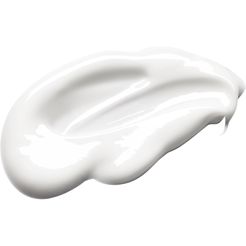 Coastal Cypress & Sea Fennel Body Lotion