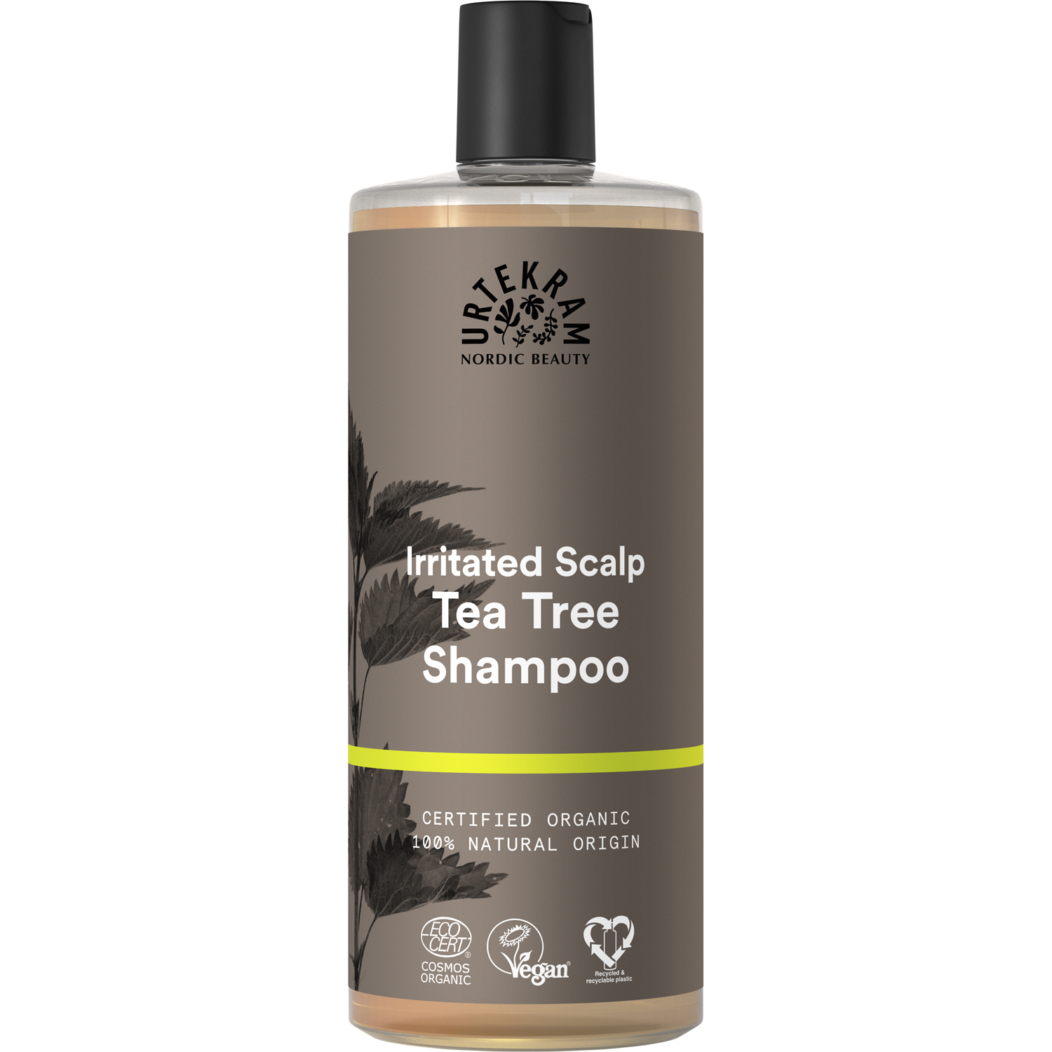 Tea Tree,   Shampoo