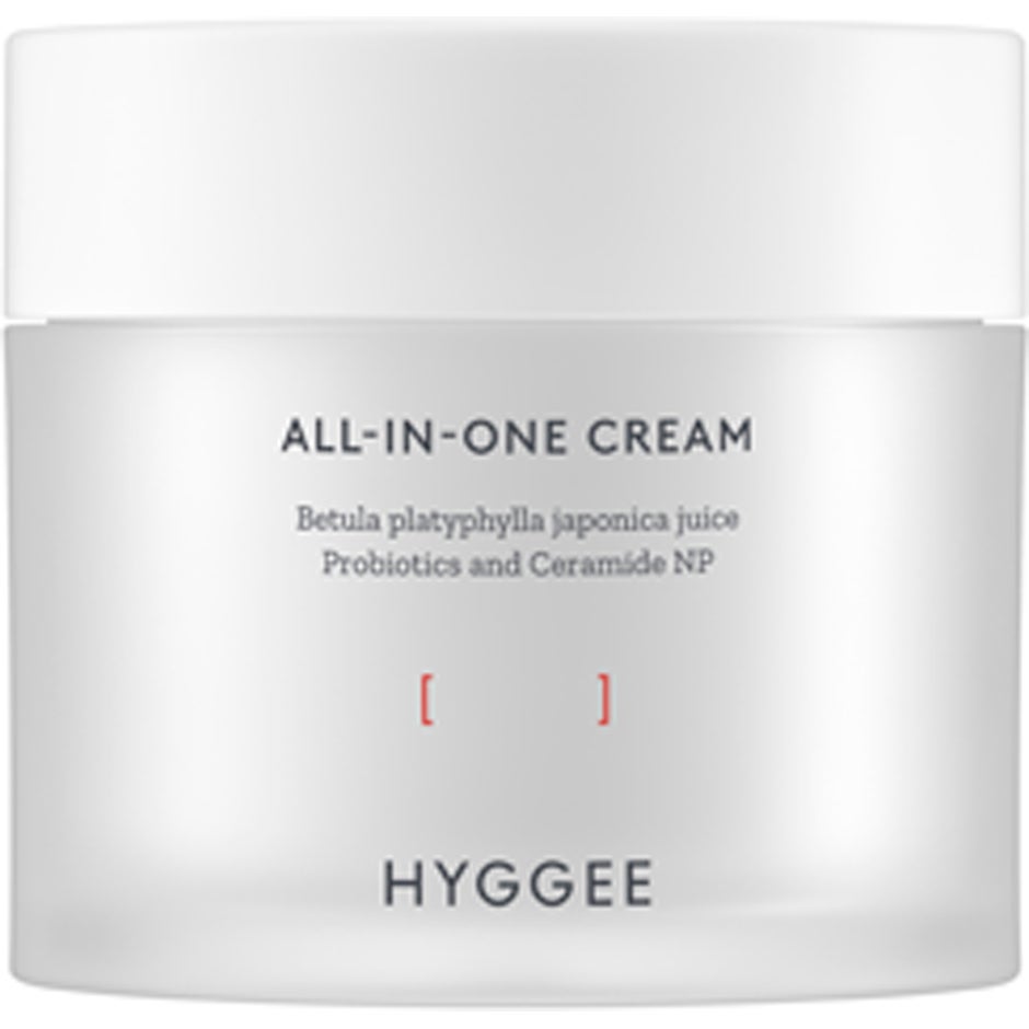 All-In-One Cream 80 ml
