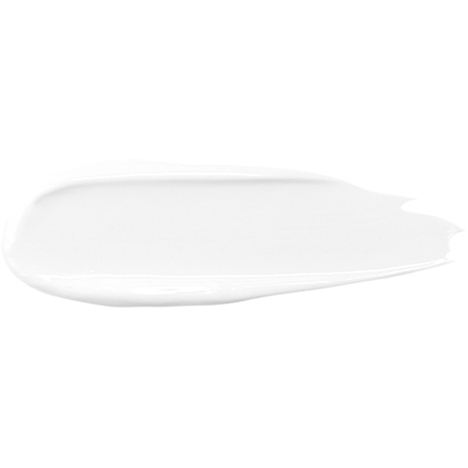 Absolute Cover Face Primer